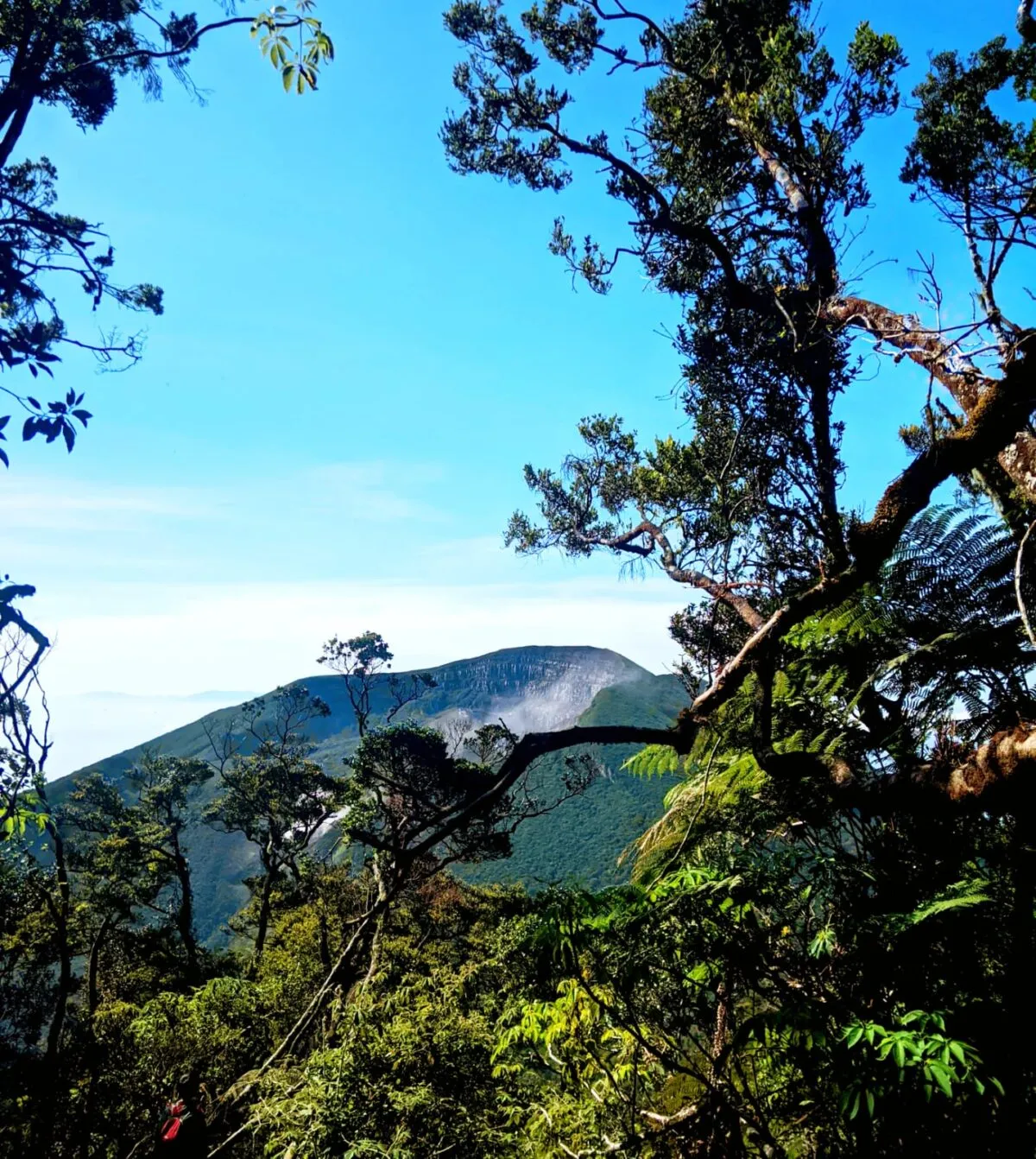 Jadi Lokasi Kejuaraan Internasional, Jalur Pendakian Gunung Gede Pangrango Ditutup Sepekan Mulai 23 Juli 2026