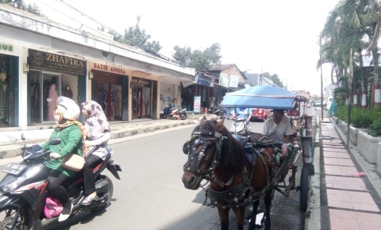 Di tengah pesatnya kemajuan teknologi transportasi di Indonesia, becak dan delman Cianjur tak lekang ditelan zaman.