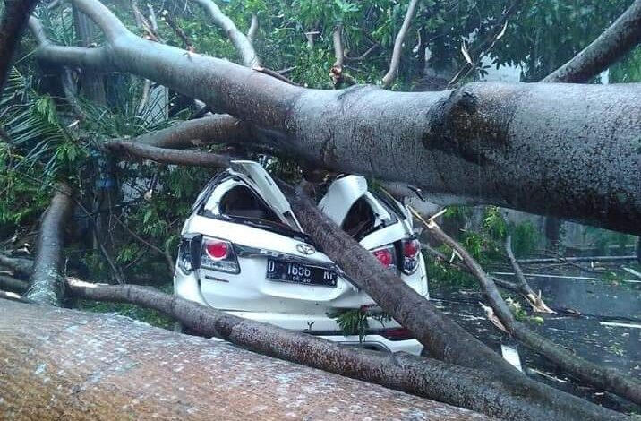 Pohon Besar di Pendopo Cianjur Tumbang, Satu Mobil Ringsek