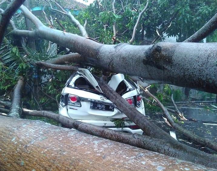 Pohon Besar di Pendopo Cianjur Tumbang, Satu Mobil Ringsek