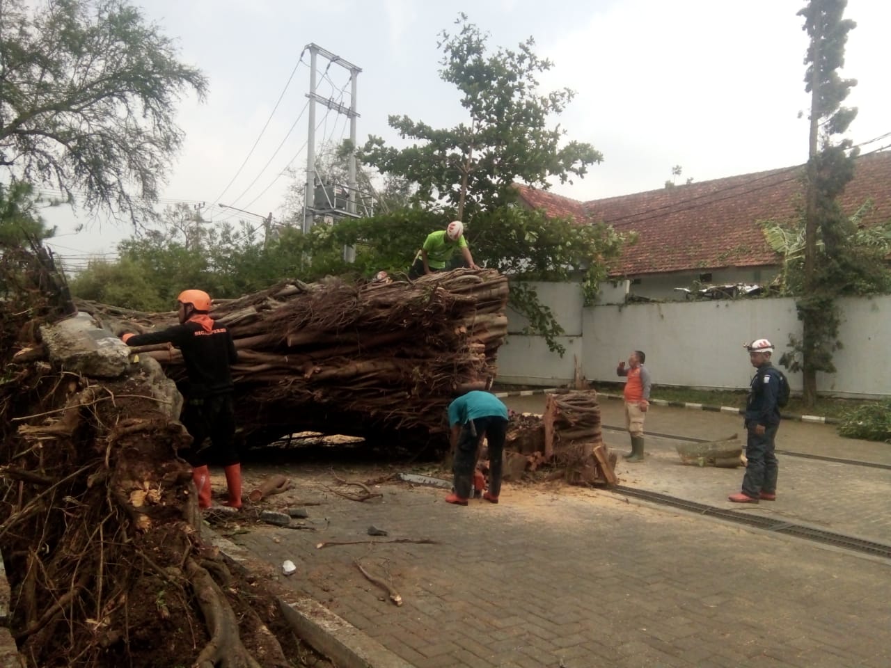 Hujan Badai, Pohon dan Pemancar Radio di Cianjur Tumbang