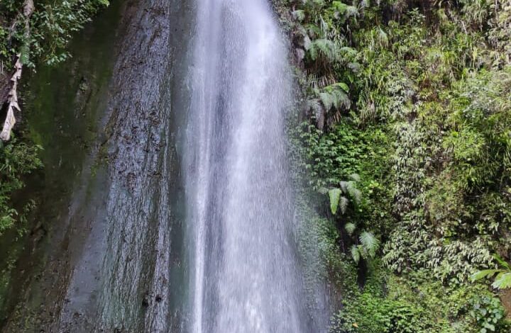 Curug Ciismun, Pesona Air Terjun Kebun Raya Cibodas yang Epic Banget!