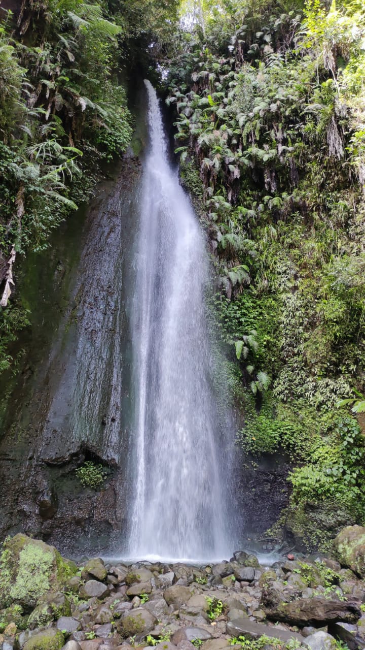 Curug Ciismun, Pesona Air Terjun Kebun Raya Cibodas yang Epic Banget!