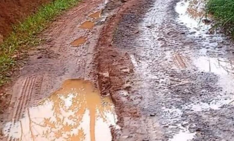 Baru Seumur Jagung, Jalan Desa di Takokak Kini Kembali Rusak