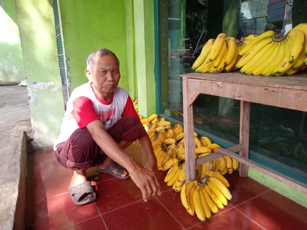 Kembang-kempis Usaha Buah Pisang di Tengah Masa Pandemi