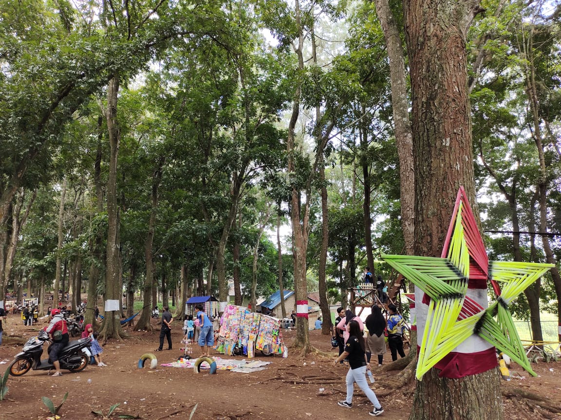 Main ke Wisata Pinus Coklat Cianjur, Bikin Selfie Kamu Makin Ciamik!