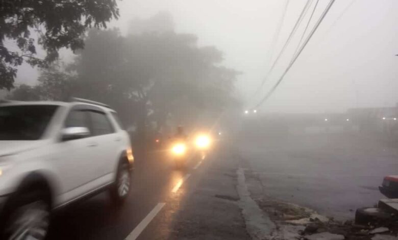 Kabut Pacet Puncak