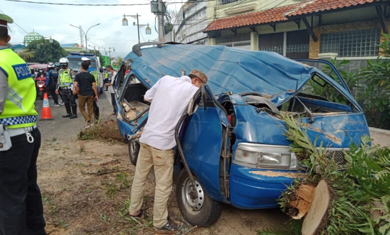 Dua Mobil Tertimpa Pohon Tumbang di By Pass Cianjur, Satu Orang Luka Berat