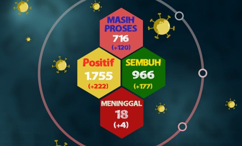 Update Corona, 18 Januari 2021 di Cianjur: Sepekan, Positif Naik 222 dan Sembuh Bertambah 117 Kasus