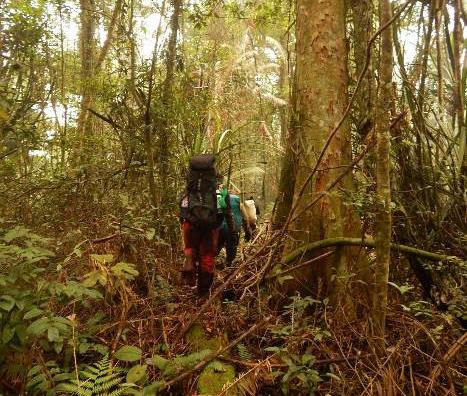 TNGGP Masih Tutup, Petugas Tetap Perketat Penjagaan di Delapan Jalur Pendakian