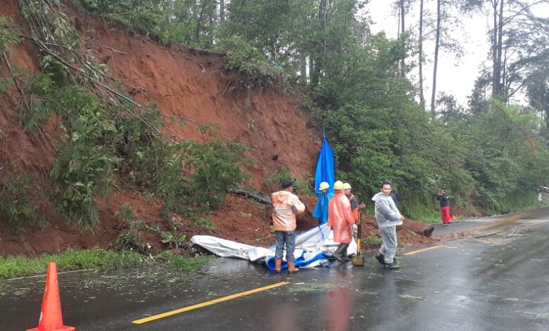 Tebing 10 Meter di Puncak Ciloto Kembali Longsor, Warga Diminta Waspada