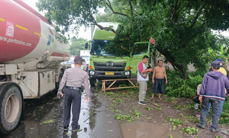 TERTIMPA: Sebuah pohon mahoni besar tumbang dan menimpa truk box tronton dengan Nopol B 9818 XTX di Kampung Andir, Desa Cibiuk, Ciranjang. (Foto: Apip Samlawi/cianjurupdate.com)