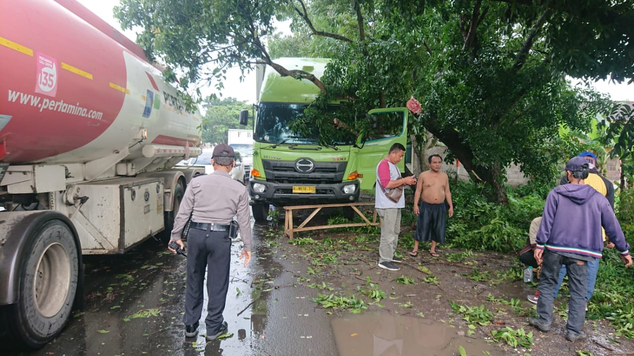 TERTIMPA: Sebuah pohon mahoni besar tumbang dan menimpa truk box tronton dengan Nopol B 9818 XTX di Kampung Andir, Desa Cibiuk, Ciranjang. (Foto: Apip Samlawi/cianjurupdate.com)