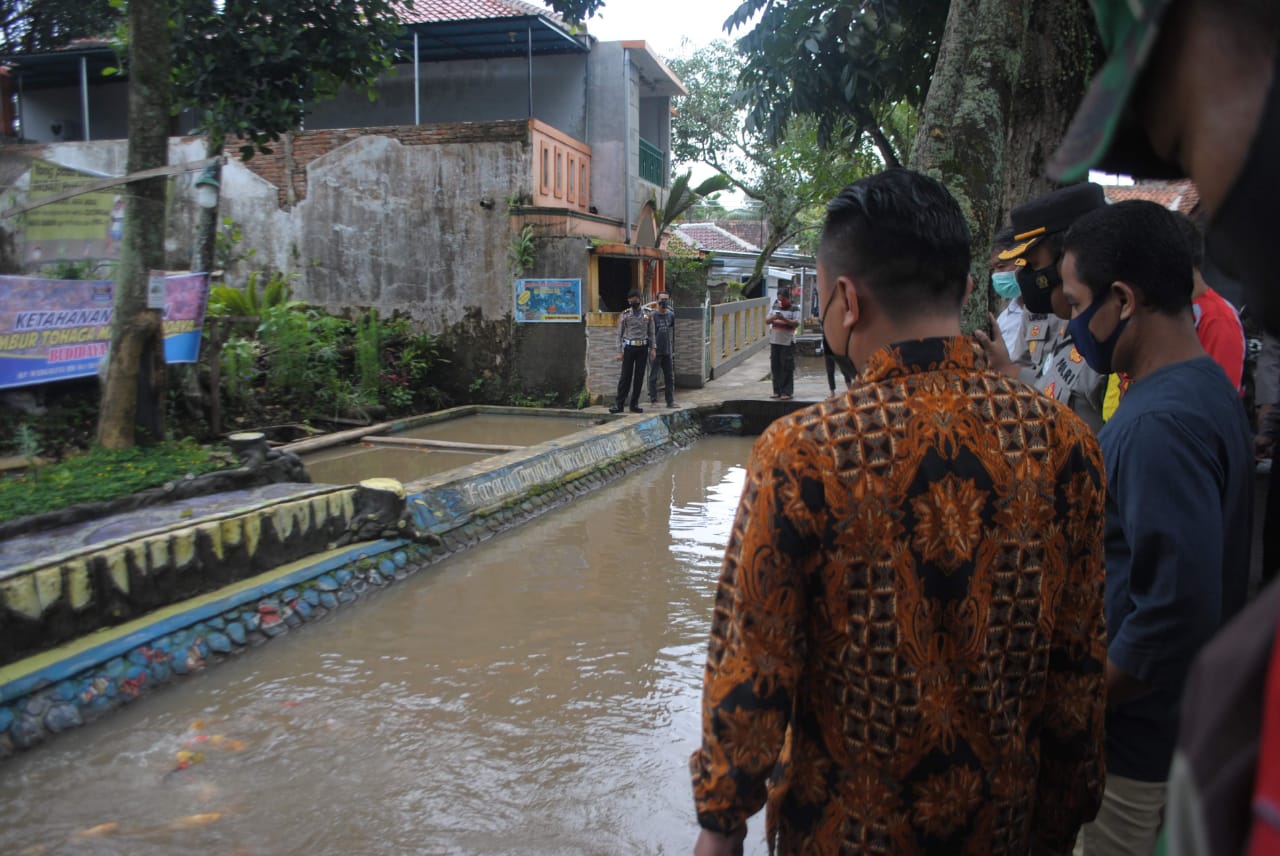 Budidaya Ikan Bisa jadi Solusi Penguatan Ekonomi Masyarakat di Masa Pandemi