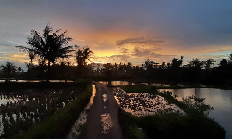 Foto pelangi di berbagai sudut Cianjur. Foto: Istimewa