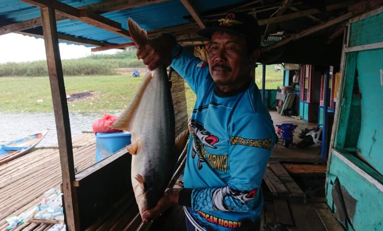 Ikan di Lokasi Kebon Jengjen Kertajaya Ciranjang Melimpah, Para Pemancing Mulai Berdatangan