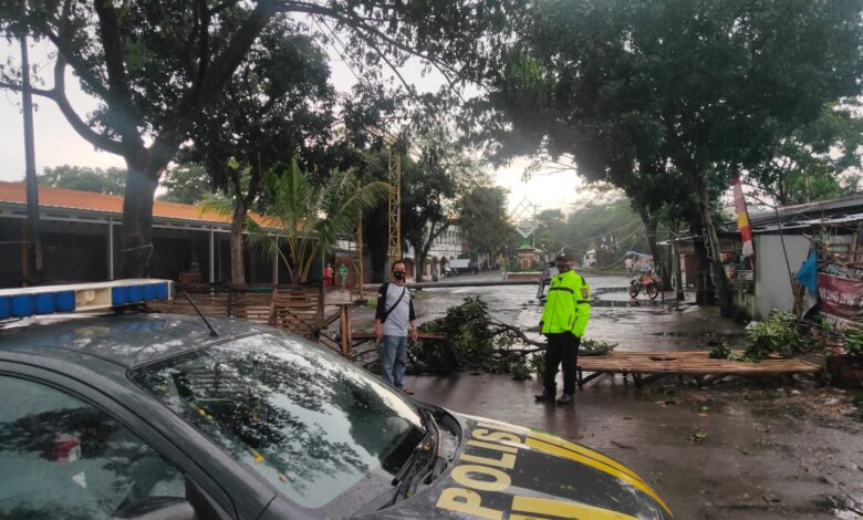 Hujan Angin, Sejumlah Pohon dan Tiang Listrik Tumbang di Cianjur