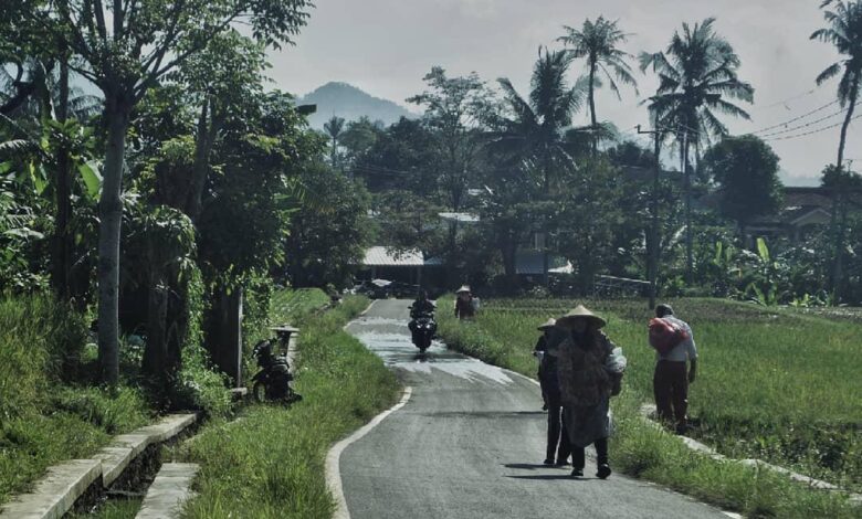 Rencana Impor Beras Terus Ditolak, DPRD Cianjur: Kalau Surplus, Buat Apa Harus Impor Segala?