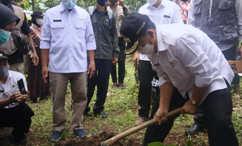 Bupati Cianjur Tanam 12 Ribu Pohon Picung di Lahan Agro Edukasi Wisata Bojongpicung