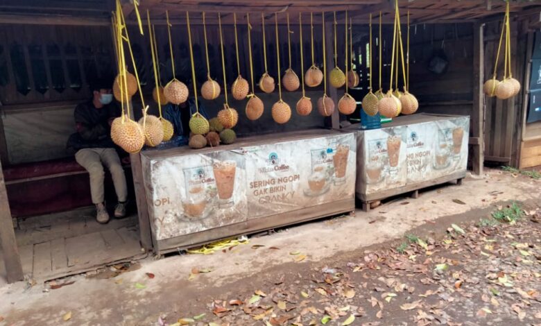 Musim Buah Durian Hampir Berakhir, Harganya Malah Naik