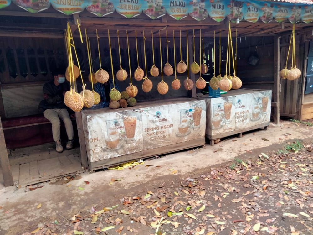 Musim Buah Durian Hampir Berakhir, Harganya Malah Naik