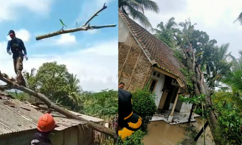 Warga Tanjungsari Cianjur Gotong Royong Bersihkan Pohon Tumbang dan Perbaiki Rumah Rusak