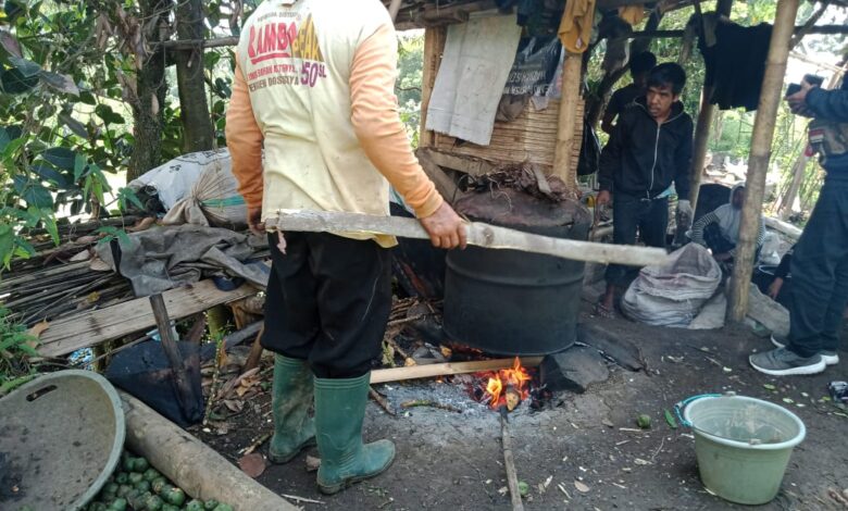 KOLANG-KALING: Setiap tahunnya, terlebih di bulan Ramadan, hampir seluruh masyarakat Kampung Kolang-Kaling sekitar mengolah buah dari pohon aren.(Foto: Afsal Muhammad/cianjurupdate.com)