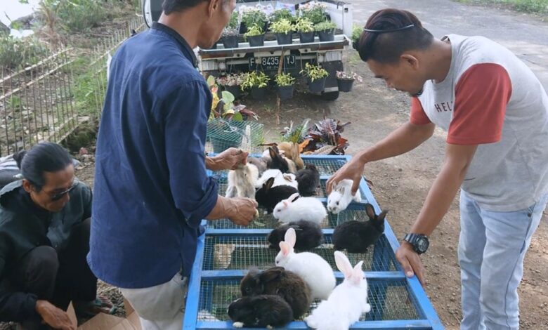 Para penjual anak kelinci di pinggir jalan Kebon Jeruk, Desa Neglasari, Kecamatan Bojongpicung, Kabupaten Cianjur laris manis selama Ramadan