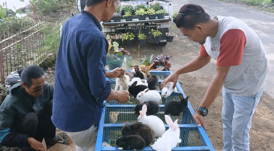 Para penjual anak kelinci di pinggir jalan Kebon Jeruk, Desa Neglasari, Kecamatan Bojongpicung, Kabupaten Cianjur laris manis selama Ramadan