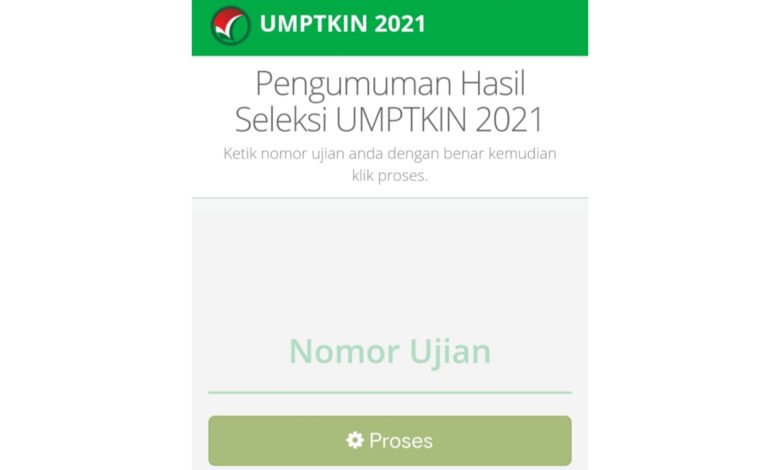 Hari Ini Hasil Seleksi UMPTKIN Diumumkan, Cek di Sini!