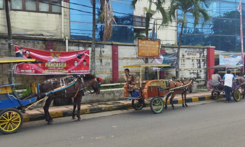 PPKM Darurat, Kusir Delman di Cianjur Sebagian Besar Berhenti Beroperasi