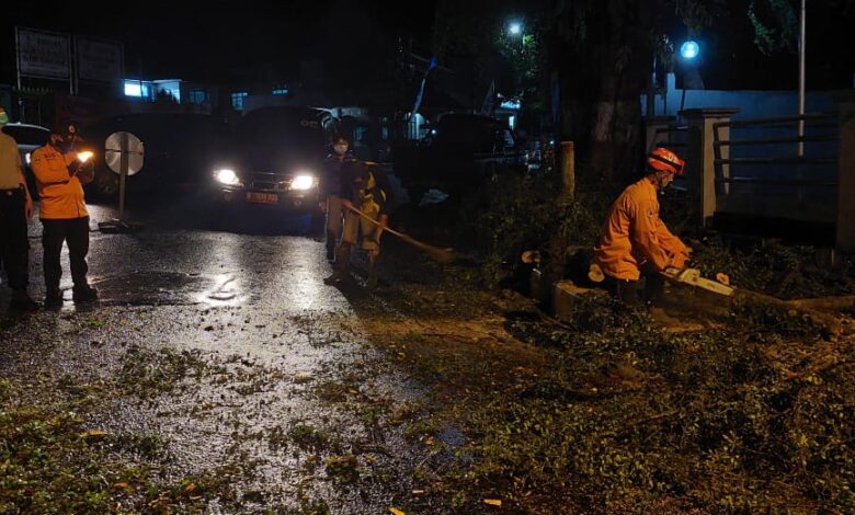 Hujan Semalam, Pohon di Jalan Siliwangi Cianjur Tumbang