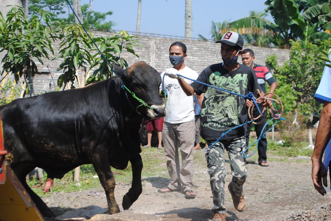 Kurban Idul Adha, Ini Dia Lokasi Rumah Potong Hewan di Cianjur