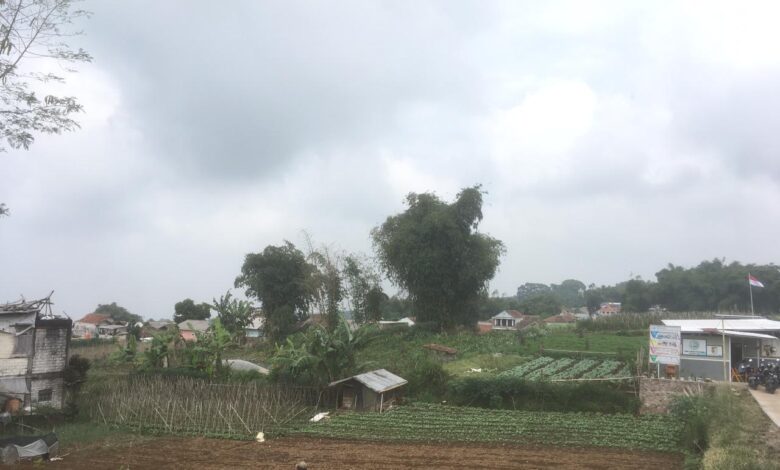 Jadi Pusat Pertanian, Masyarakat Desa Ciputri Tetap Berjuang di Tengah Masa Pandemi