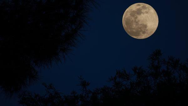 Full Moon Muncul, BMKG: Warga di Perairan Selatan Diimbau Waspadai Gelombang Tinggi