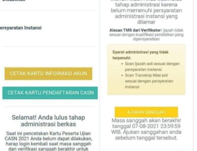 Cek sscasn.bkn.go.id untuk Pengumuman Seleksi CPNS 2021