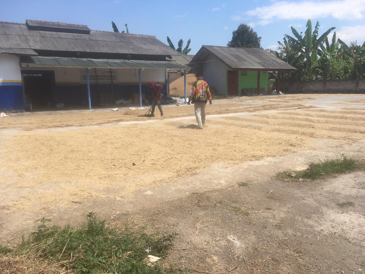 KSM Cahaya Taruna Gemilang Terus Aktif Bantu Petani di Tengah Pandemi