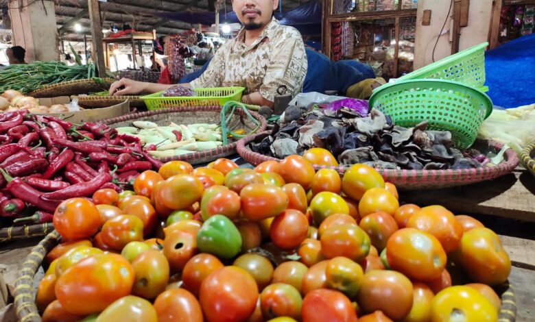 Stok Sedikit, Harga Tomat di PIC dan Pasar Cipanas Melonjak Naik