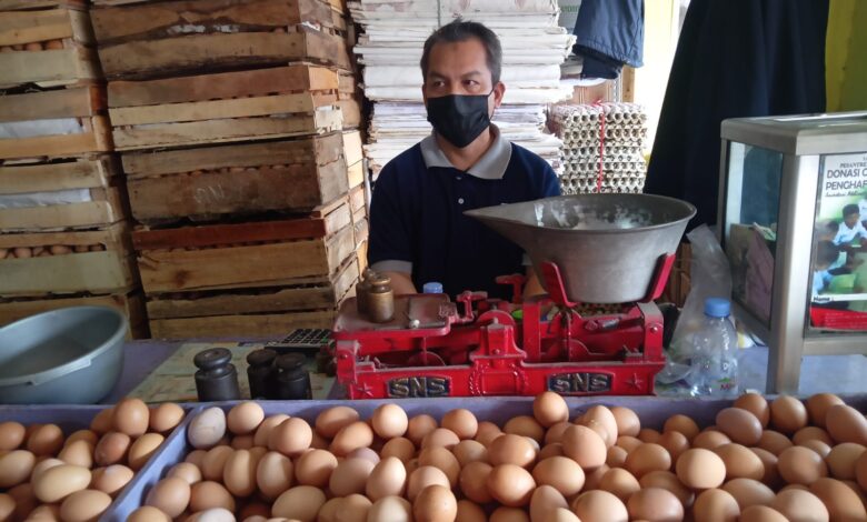 Harga Telur Ayam di Sejumlah Daerah Anjlok, Cianjur Masih Terpantau Normal