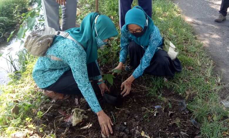 Serentak, TP PKK Desa Neglasari dan Kecamatan Bojongpicung Tanam Pohon Picung