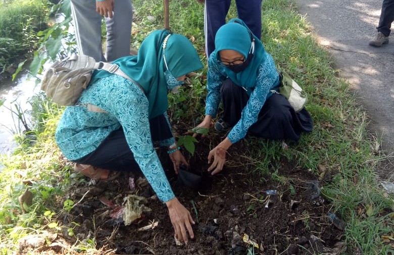 Serentak, TP PKK Desa Neglasari dan Kecamatan Bojongpicung Tanam Pohon Picung