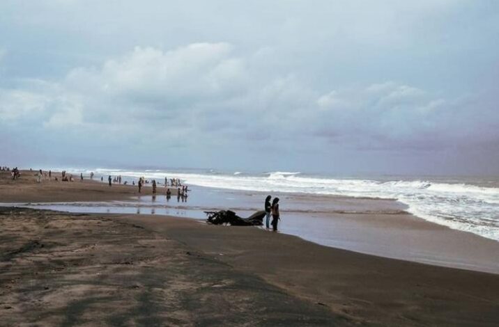 Pantai Selatan Cianjur Berstatus Siaga, Wisatawan Diminta Waspadai Gelombang Tinggi