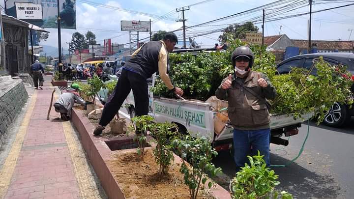 Ciptakan Kawasan Hijau, Forkopimcam Cipanas Tanam 1.500 Bunga Cantik