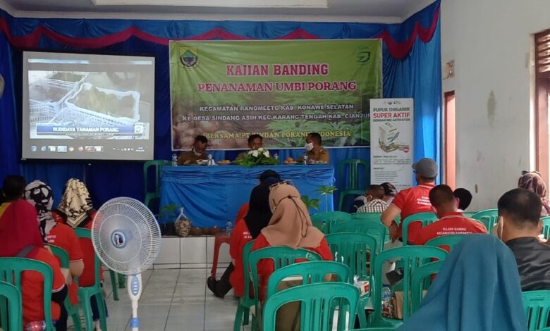 Sukses Budidaya Porang, Masyarakat Sulawesi Studi Banding ke Desa Sindangasih Karangtengah