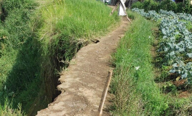 Tebing 100 Meter Longsor di Cipanas, Jalan Penghubung Antar Kampung Putus