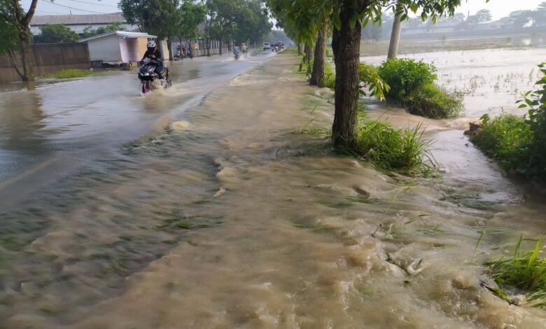 Banjir Terjang Tiga Desa di Cianjur, Dua Hektar Sawah dan Peternakan Ayam Habis Terendam