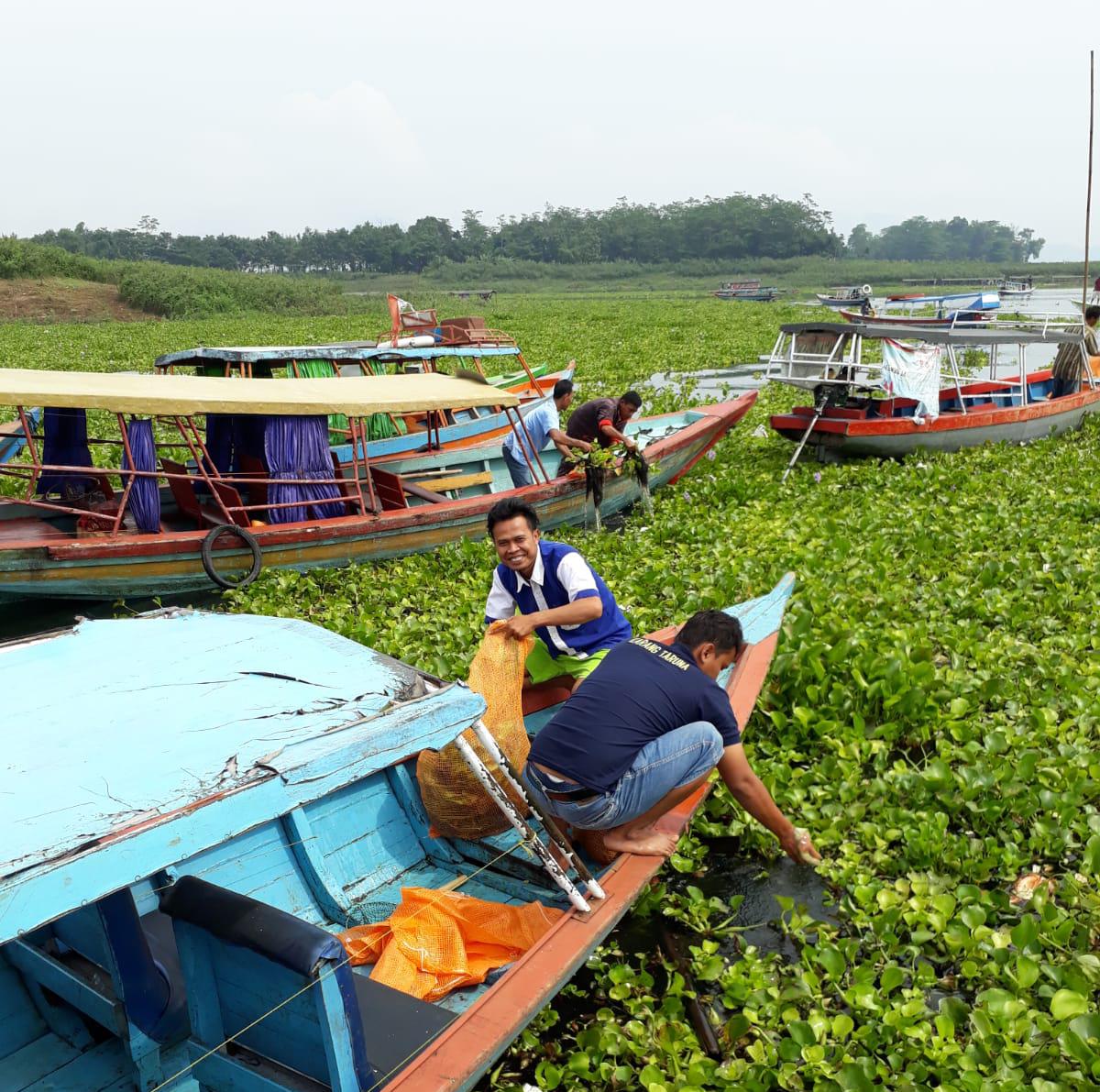 Petani KJA Waduk Cirata Keluhkan Eceng Gondok Makin Meluas, Ikan jadi Kurang Oksigen!