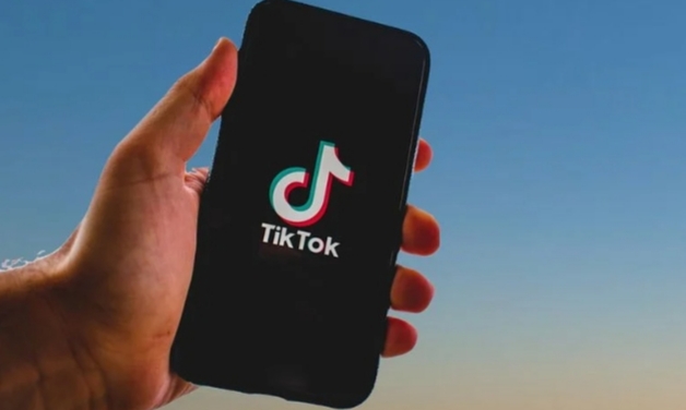 Cara Download Musik TikTok ke Ponsel dengan Mudah dan Cepat