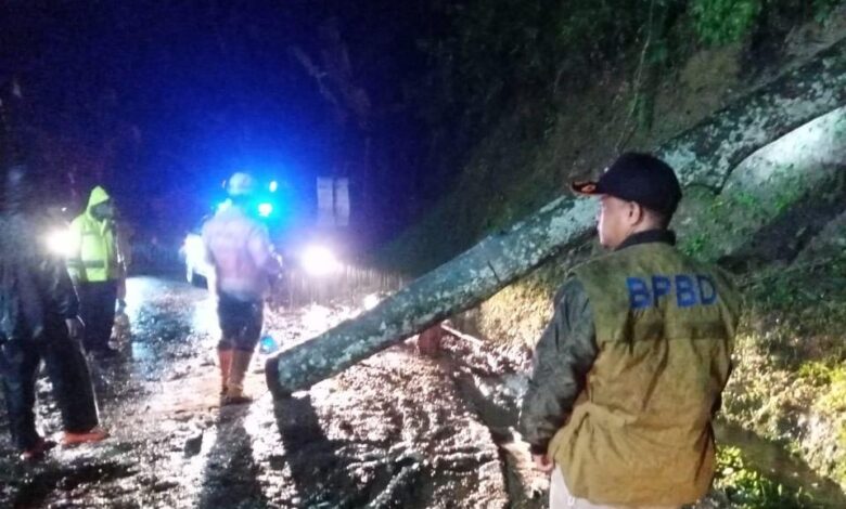 Pohon di Cibeber Tumbang, Arus Lalu Lintas Sempat Macet