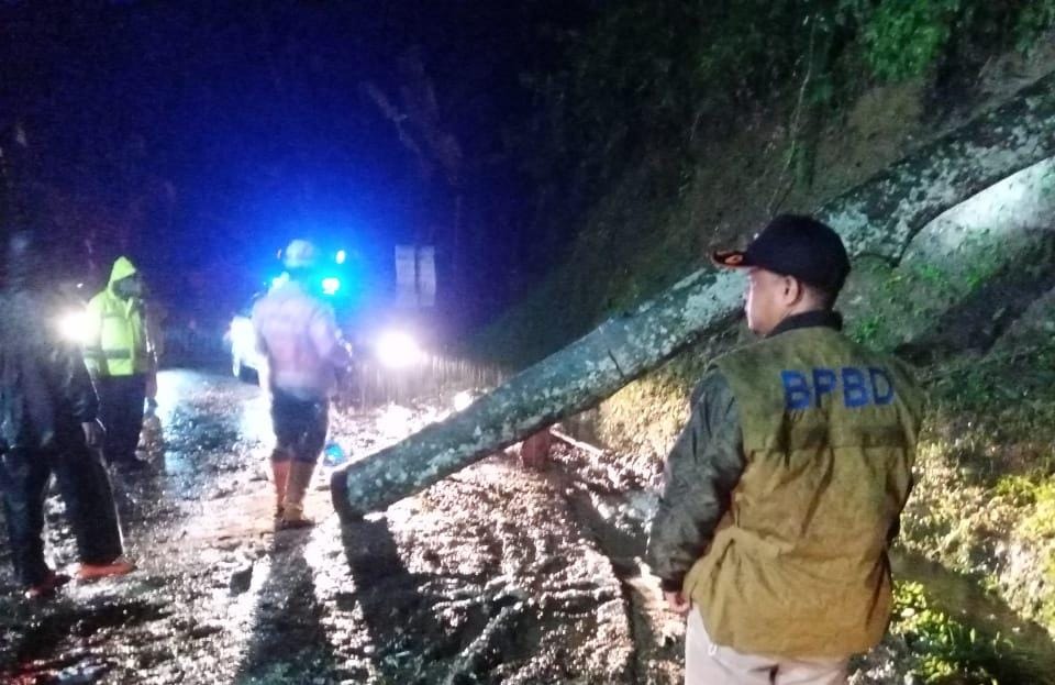 Pohon di Cibeber Tumbang, Arus Lalu Lintas Sempat Macet